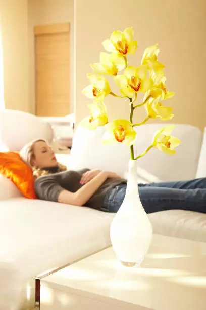 Feng Shui Consultations